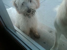 muddy fart